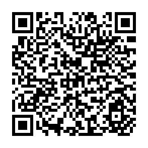 QR Code for International Symposium on Development of Ground Water Resources