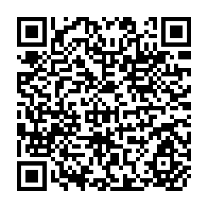 QR Code for The Newly Free Countries in the Seventies