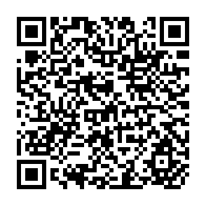 QR Code for Law and Force in the International System