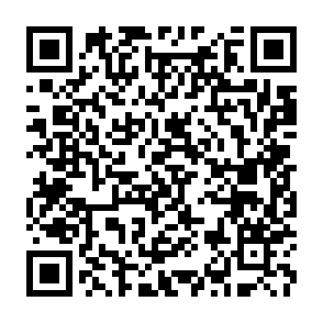 QR Code for US Monopolies and Developing Countries