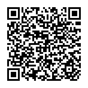 QR Code for China and India: A Comparative Perspective on Fertilizer Policy Requirements for Long-Term Growth and Transitional Needs
