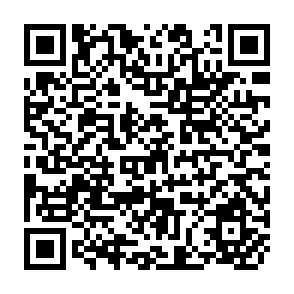QR Code for The role of the world bank in agricultural development in the 1990s