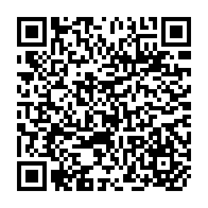 QR Code for Evidence on the Terror in chile