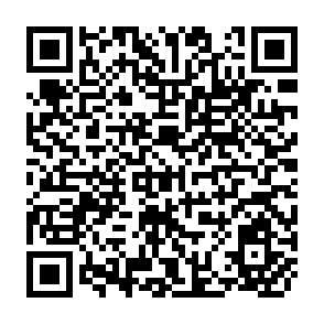 QR Code for Socialism and the churches
