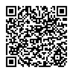 QR Code for The Gene Hunters