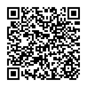 QR Code for Project Appraisal and Planning for Developing Countries