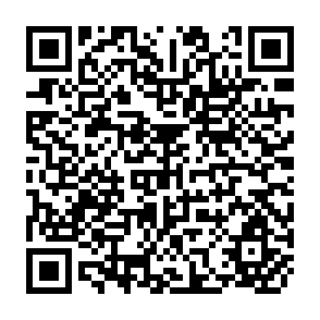 QR Code for Studies in the Sociology of Development