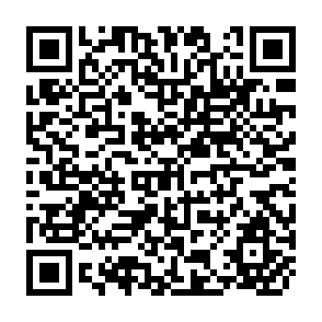 QR Code for Seed Diffusion Mechanisms in Small Farmer Communities: Lessons from Asia, Africa and Latin America
