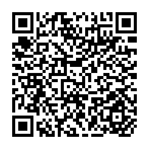 QR Code for Undernutrition and Poverty: Magnitude, Pattern, and Measures for Alleviation