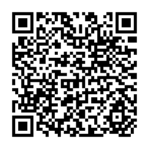 QR Code for Malaria Among Gold Miners in Southern Para, Brazil: Estimates of Determinants and Individual Costs