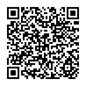 QR Code for Report of the Regional Export Consultation on Management and Supervision of Agricultural Extension Programmes