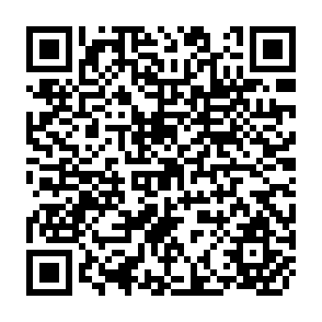 QR Code for Effects of Macro-Economic Policies on Sectoral Prices