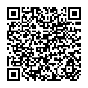 QR Code for Future Directions for Indian Irrigation: Research and Policy Issues