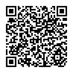 QR Code for The External Economy of Bangladesh: Trends, Structure and the Terms of Trade