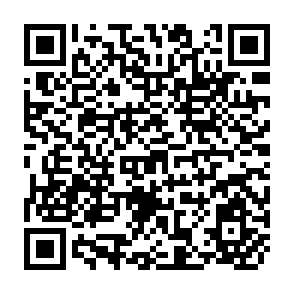 QR Code for private Foreign Asset Accumulation: Magntude and Determinants The Case of The Philippines
