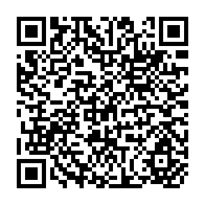 QR Code for Public and Private Sector Capital Account Behaviour in Less-Developed Countries, 1970-1988