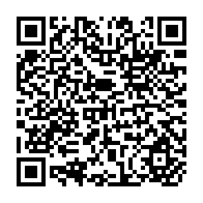 QR Code for What happened to the land question in Zimbabwe? Rural reform in the 1980s