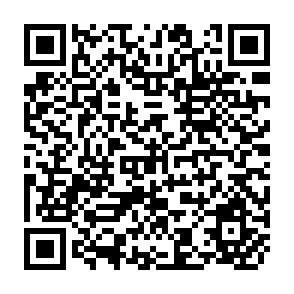 QR Code for Privatization in Bangladesh