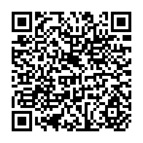 QR Code for Survey Sampling