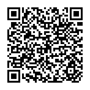 QR Code for Agriculture and the development process