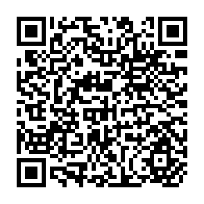 QR Code for The Modern Plantation In The Third World