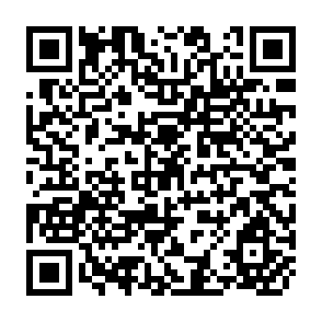 QR Code for The Crisis in Planning