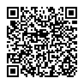 QR Code for Domestic Terms of Trade and Agricultural Growth in Developing Countries