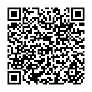 QR Code for The Effects of International Remittances on Poverty, Inquality, and Development in Rural Egypt