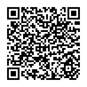 QR Code for A Framework for Seed Policy Analysis-in Developing Countries