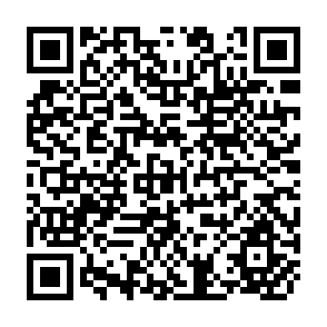 QR Code for The Effect of Agricultural Price Policies on Intersectoral Income Transfers