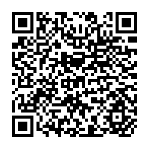 QR Code for A Comperative Analysis of Asian Agricultural Productivities and Growth Patterns