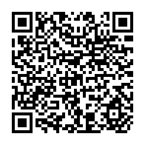 QR Code for Extension in Less Developed Agricultural Regions: The Four-Phase Extension Model
