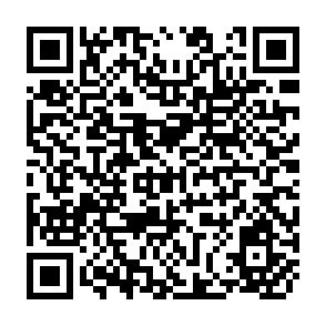 QR Code for Sharing in Development