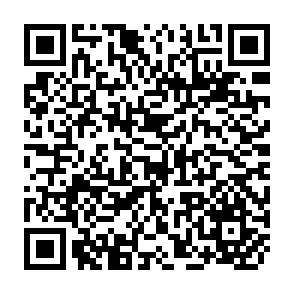 QR Code for The tradition of philosophy