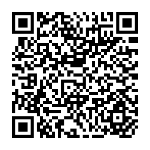 QR Code for The Egg Market