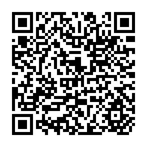 QR Code for Economics