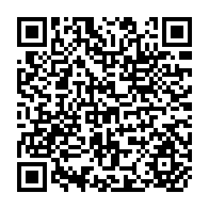 QR Code for Effective Demand and Income Distribution