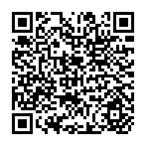 QR Code for Brief Calculus for Management and the Life and Social Sciences
