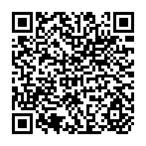 QR Code for Slow Response of Trade and Industry to Import Policy Changes