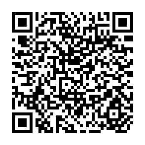 QR Code for Development Impact of Rural Infrastructure in Bangladesh