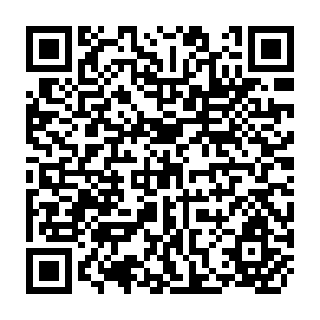 QR Code for Papua New Guinea Land Data Verification Project