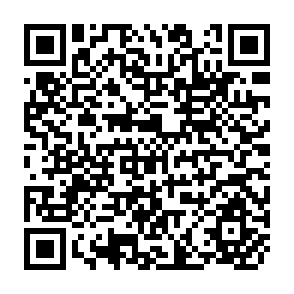 QR Code for Understanding socialist and proletarian internstionalism