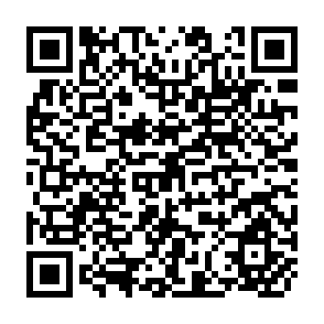 QR Code for Towards an Understanding of The Dynamics of The Parallel Market in Foreign Exchange: The Case of Surinam