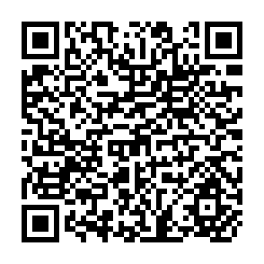 QR Code for Data Analysis in Developing Research and Argument