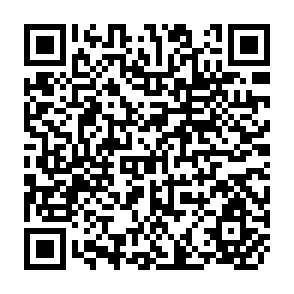 QR Code for Government and Ngo Collaboration in Natural Resources in Zimbabwe