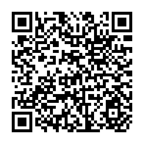 QR Code for Commonalities and Complementarities in the Asia-Pacific Region