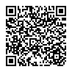 QR Code for A Forest Inventory of the Peak Wilderness-Agra Bipats Forest Area and Part of the Kelani Valley Forest Area Ceylon