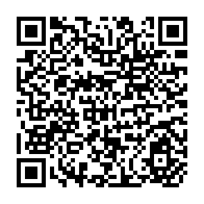 QR Code for Farmer-Financed Irrigation: The Economics of Redorm