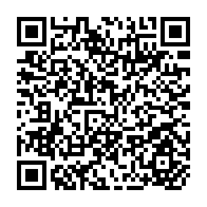 QR Code for A Forest Inventory of the Panama Proposed Reserve, Ceylon