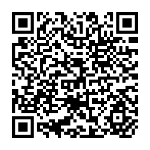 QR Code for Impact of Small Scale Irrigation on the Rural Poor and its Prospect in South Asia